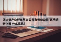 区块链产业孵化基金公司有哪些公司[区块链孵化器 什么意思]